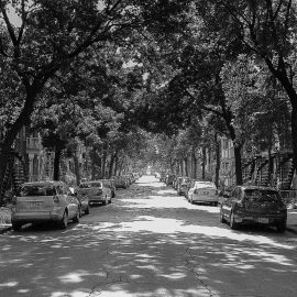 Se mettre au vert grâce à la première puissance du monde urbain, les arbres!
